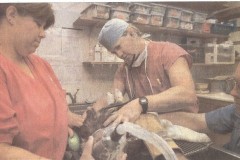 Dr.-Haynes-c.-1992-performing-surgery-on-a-SWRR-Golden-Eagle-1