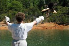 Eagle-Release-2