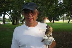 Education-with-Kestrel-Hawk