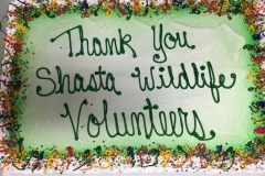 Volunteer-Appreciation-Picnic-2017