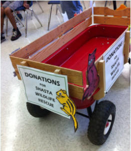 Marley's donation wagon