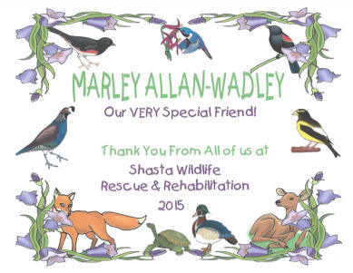 Marley's certificate